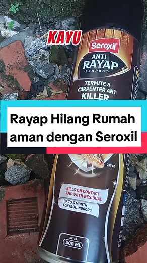 Cara Menghilangkan Rayap dari Rumah dengan Seroxil