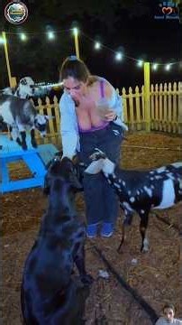 These Incredible Animal Rescues Will Restore Your Faith in Humanity 🥹❤️ Part 24
