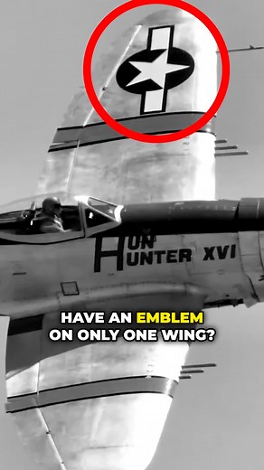 Why did American planes only have the emblem on one wing? #history #war | War in Seconds