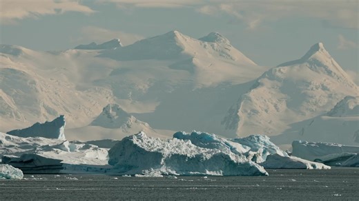 2.7K reactions · 86 shares | 朗 What sets Poseidon Expeditions apart...