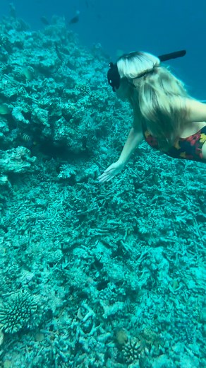 We're delighted to welcome pro surfer Connor O'Leary to Club Med Kani! Whether you're looking to surf like a pro, swim in the crystal-clear waters, or unwind on the golden sandy beaches, Club Med Kani is the ultimate destination for your summer getaway! Who will you be bringing to this island paradise? 🌞🏝️🌊 📷@connoroleary | Club Med