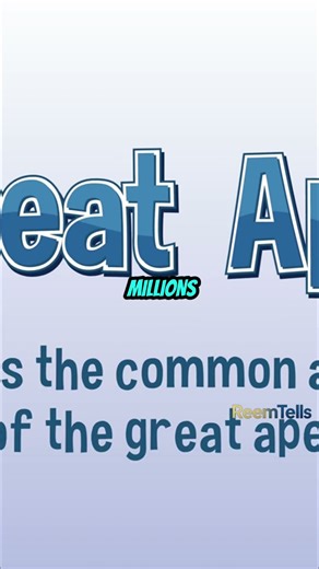 Humans Evolved from Monkeys - Not Directly #facts #mythbusting #misconception