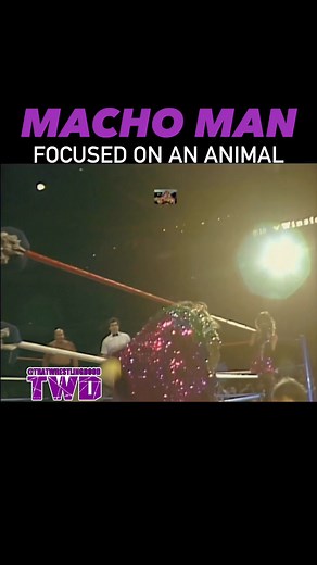 Macho Man had the most swag when he first joined WWF.. APRIL 7, 1986. Don’t forget to LIKE, COMMENT, SHARE & FOLLOW.. Go check out my YouTube channel https://youtube.com/@Thatwrestlingdoodpodcast?si=1aYHqTw8iTEFKFU4 (LINK is ALWAYS in the BIO!!!).. #machoman #randysavage #misselizabeth #wrestlemania #80swrestling #wwfwrestling #machomanrandysavage #wwewrestlemania #worldwrestlingfederation WWE Network WWE | That Wrestling Dood
