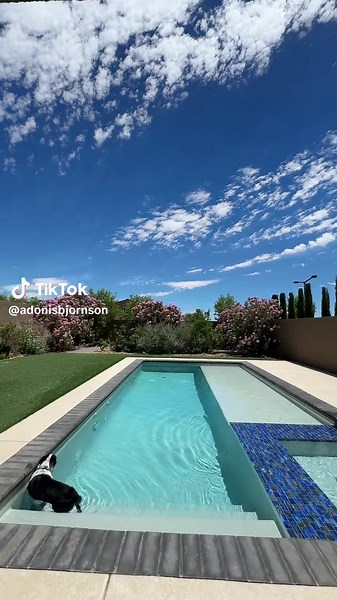 Does today not seem real?