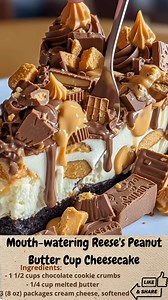 Mouth-watering Reese's Peanut Butter Cup Cheesecake | CakeBook