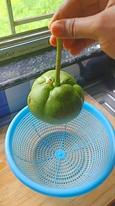 151K views · 1.1K reactions | Bengali dal recipe #trendingcookingvideo #easyrecipes #fbreelsfypシ゚ #fbviral # Bangali famous cooking # dal recipe # viral video # veg dal# India #homemade | Ruma Santra | Facebook