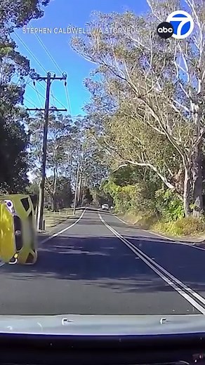 51K views · 394 reactions | CLOSE CALL: A young Australian driver, who only recently received her driver’s license, had her reflexes tested when a car that had flipped on its side skidded straight toward her vehicle. | ABC7 | Facebook