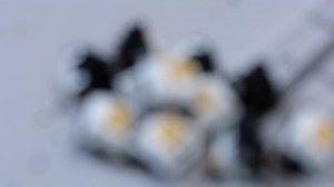 Penguin Switches Sound Test and Comparison