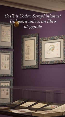 Mostra di Luigi Serafini al Labirinto della Masone