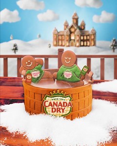 The holidays are perfect for self-care... and Canada Dry. | Canada Dry