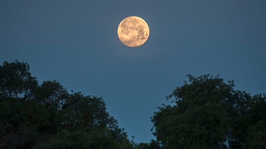 What is the Flower moon? Here's when, how to see May’s full moon, a micromoon, in the US