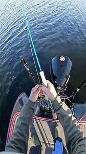 There are so many ways to use a fly rod. Ever troll with one? It works! Just another technique to