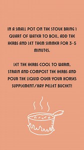 Check out this simple and tasty recipe for creating your own warming herbal tea for horses! Your horse will love it and you can drink it too 😍 #wholehorseherbs #herbalDIY #herbsforhorses #chinesemedicineforhorses #chineseherbsforhorses | Whole Horse Herbs