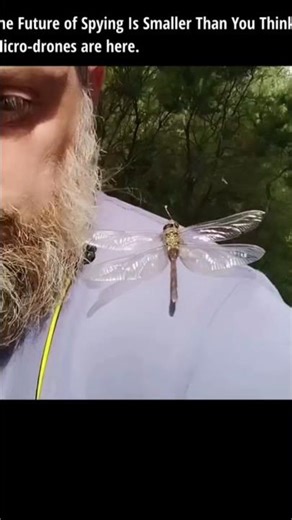 Mini Insect Spy Drones: The Future of Surveillance #shorts