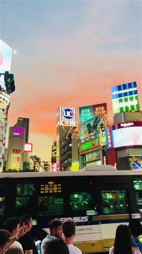 Exploring Tokyo, Japan: A 2025 Travel Guide
