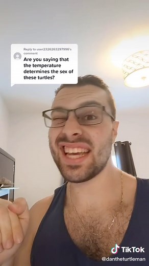 Turtle Incubation Temperature and Gender Determination