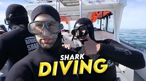 South Africa’s wildest adventure: Shark cage diving in Cape Town