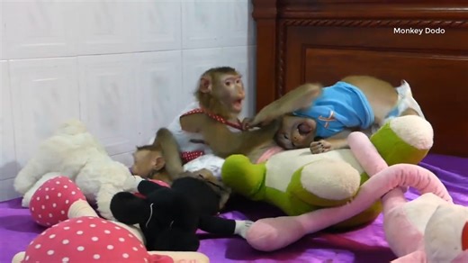 King Dodo Help Take Care And Carrying Tiny Moly Replace Princess Mory 15 | Monkey Dodo