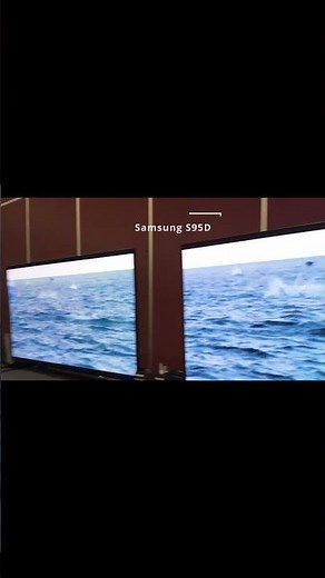 Bravia 9 vs LG G4 vs TCL QM8 at MWAVE