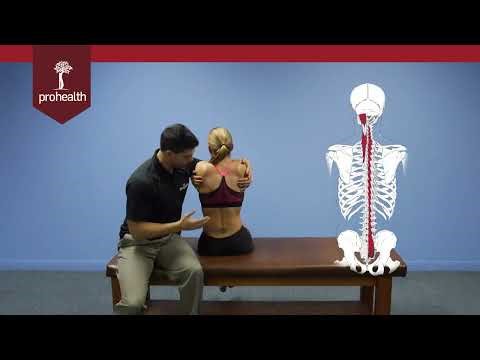 Transverso Spinalis muscle testing palpation Dr. Nikita Vizniak Muscle Manual