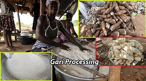 Gari processing in Ghana #food #africa #ghana #Gari #westafrica #cookingwithsindaco # | Cooking with Sindaco