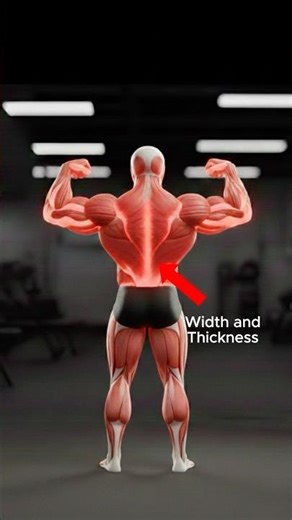 How to get a Wide + Thick Back FAST!