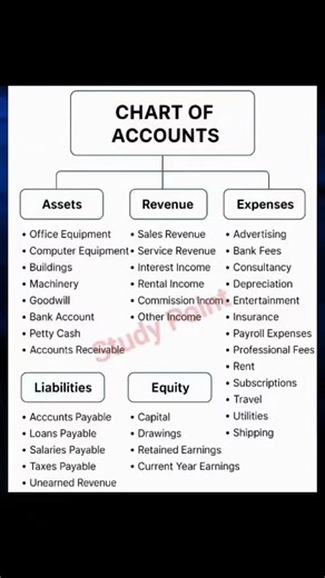 Chart of Accounts #accounting #chartofaccounts Study Point | Study Point