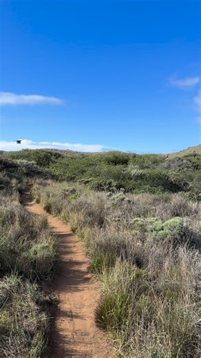 Take this as your sign to go for a tide pool walk during a low tide! When tide pooling, remember to follow your tide pool ABC(DE)s: -A lways face the ocean -B e careful and walk slowly to avoid harming plants, animals, or yourself -C arefully observe animals without touching them or moving plants and rocks -D iscover amazing creatures and leave them in their tide pool home -E ven rocks and empty shells should be left in place Reel shows: Several clips of ocean views from the Hazard Reef Trail an