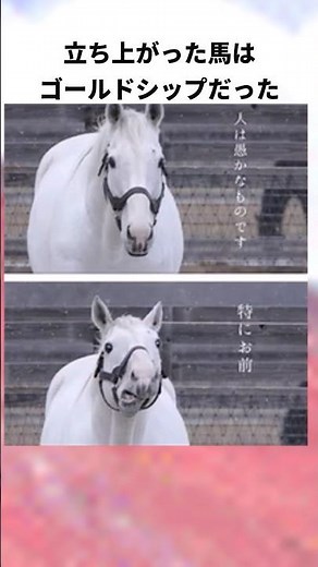 「一瞬で紙くずにさせた」ゴールドシップについての雑学