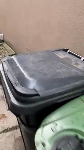 Our customer called in thinking the raccoon had reached the end of...