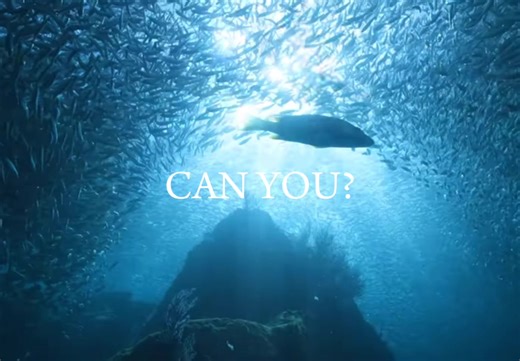 Eco-Friendly Tips to Combat Climate Change