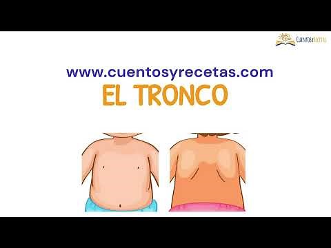Partes del tronco del cuerpo humano | Juegos para Aprender Español Gratis | CuentosyRecetas
