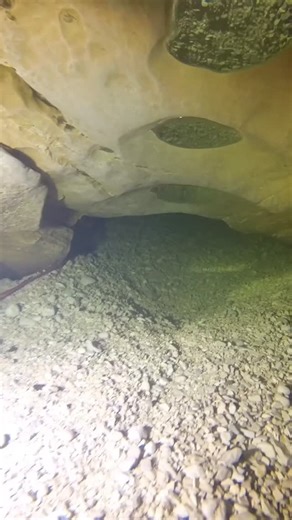 98 reactions | #cavedivinginstructor #cavedivingtraining #iantddivers #cavediving #sidemountcavediving | BlackFins Diving | Facebook