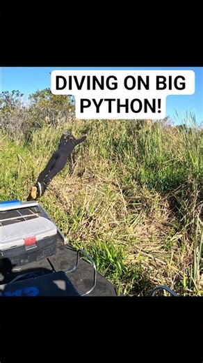 AIRBOAT PYTHON CATCH!