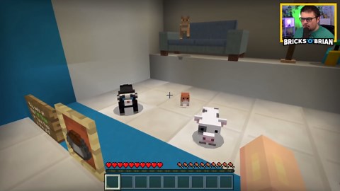 Minecraft pet shop map showcase!