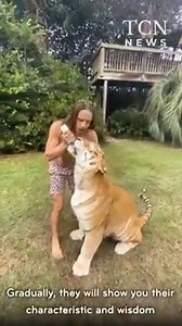 3.4M views · 47K reactions | Guardate questo video, è il vero tarzan non quello dei film. Qualcosa di stupendo. | Annalisa Colzi | Facebook