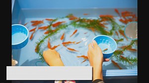 An Ultimate Guide to Fish Tank Water Conditioner