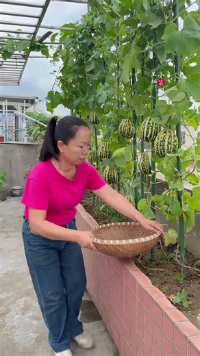 Start Your Own Little Veggie Paradise: Ultimate Planting Guide