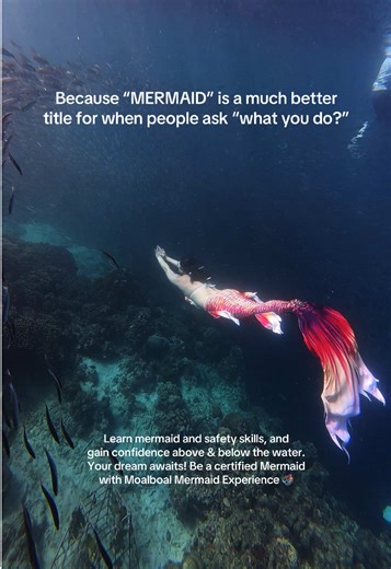 Let’s be honest: ‘MERMAID’ is a much better answer for when people ask “what you do?” Watch the glow-up! We start in the pool, mastering the monofin and safety drills, and we end in the Moalboal blue, unlocking skills you never thought possible. From human to sea goddess in just one session. 🐚✨ At Moalboal Mermaid Experience, we don't just dress you up, we train you to be a confident, safe, and certified mermaid (your pick between @PADI or @ssi_international). Your dream isn't just waiting; it’