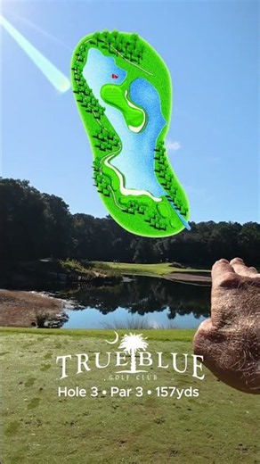 Birdie at Iconic True Blue Number 3 #golf