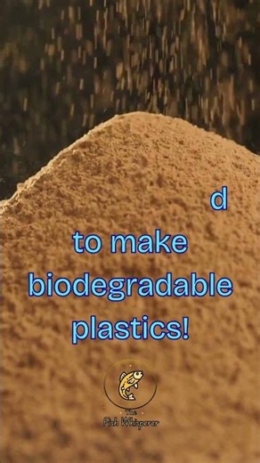 Did You Know? Shrimp Shells Can Turn Into Biodegradable Plastic ♻️ #aquaculture