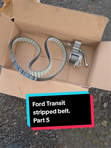 Getting close now not much more to go 🤞🤞 Ford transit stripped belt. Part 5 #mobilemechanic #wetbelt #fordtransit #rebuild