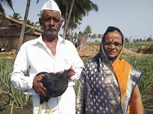 झणझणीत चुलीवरचा गावाकडचा गावरान देशी कोंबडीचा रस्सा Village Style Chicken