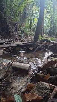Brewing hot coffee in nature | Bialetti Moka| Camping Coffee #asmr #shorts #coffee #camping #nature