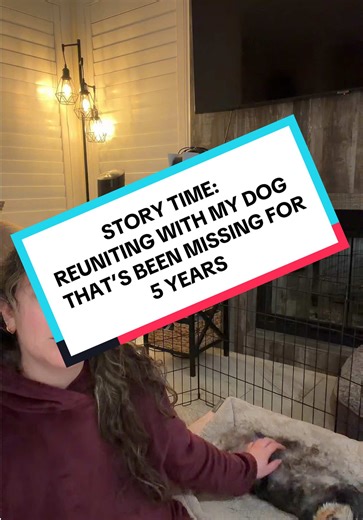 Reunion Story: Finding My Missing Dog After 5 Years