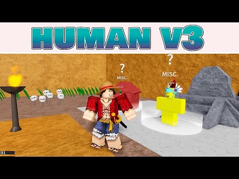HOW TO GET THE HUMAN V3 RACE IN BLOX FRUITS - STEP-BY-STEP GUIDE ON HOW TO GET THE HUMAN V3 RACE