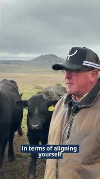 Bald Blair Angus 54th Bull Sale Preview | Sam White on A+ Bloodlines