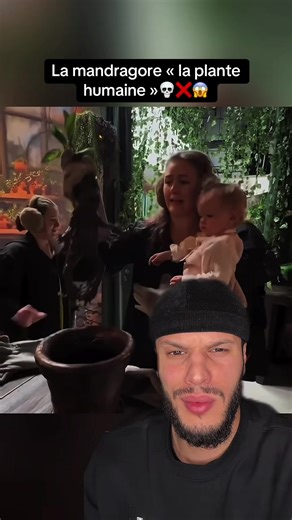 Le mystère de la plante la mandragore ##mandragore ##Mystère##légende | mandragoras