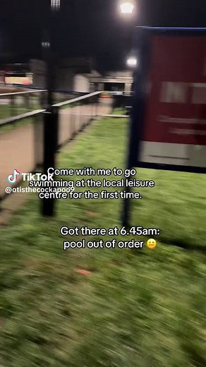 Exploring Local Leisure Centre Swimming Options