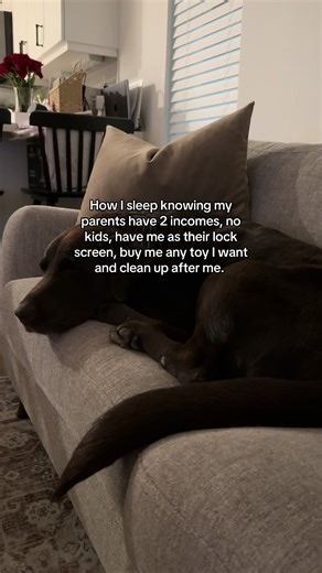 He lives a good life fr #foryou #texas #fyp #dogsoftiktok